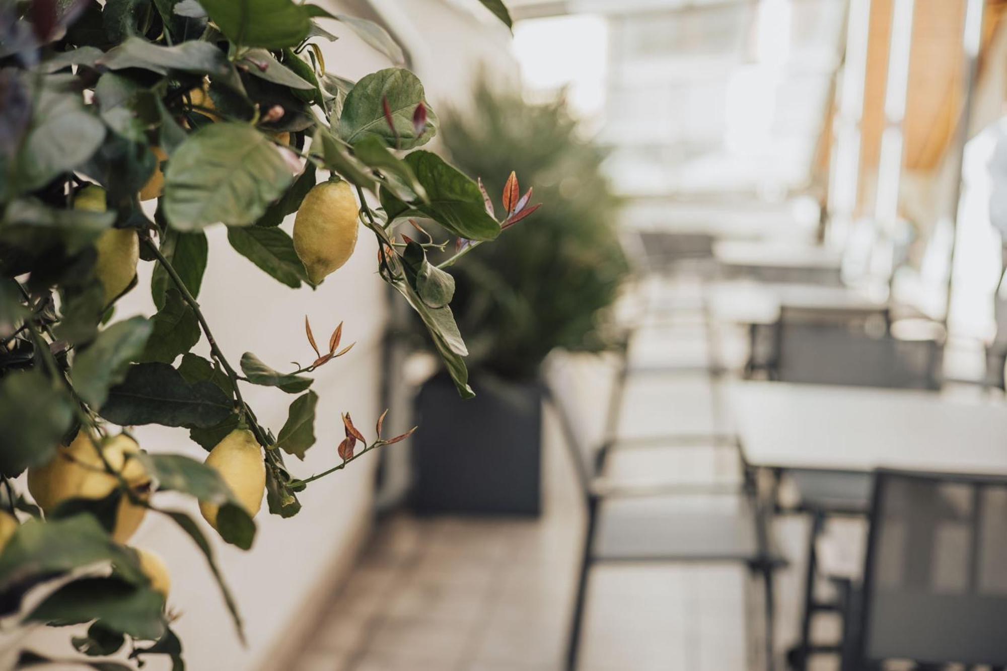 Feichter Hotel & Bistro بولزانو المظهر الخارجي الصورة